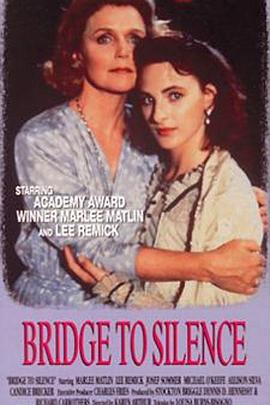 沉寂之桥封面图