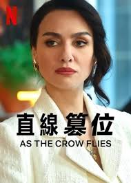 直线篡位封面图