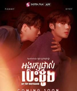 我的顶级保镖封面图