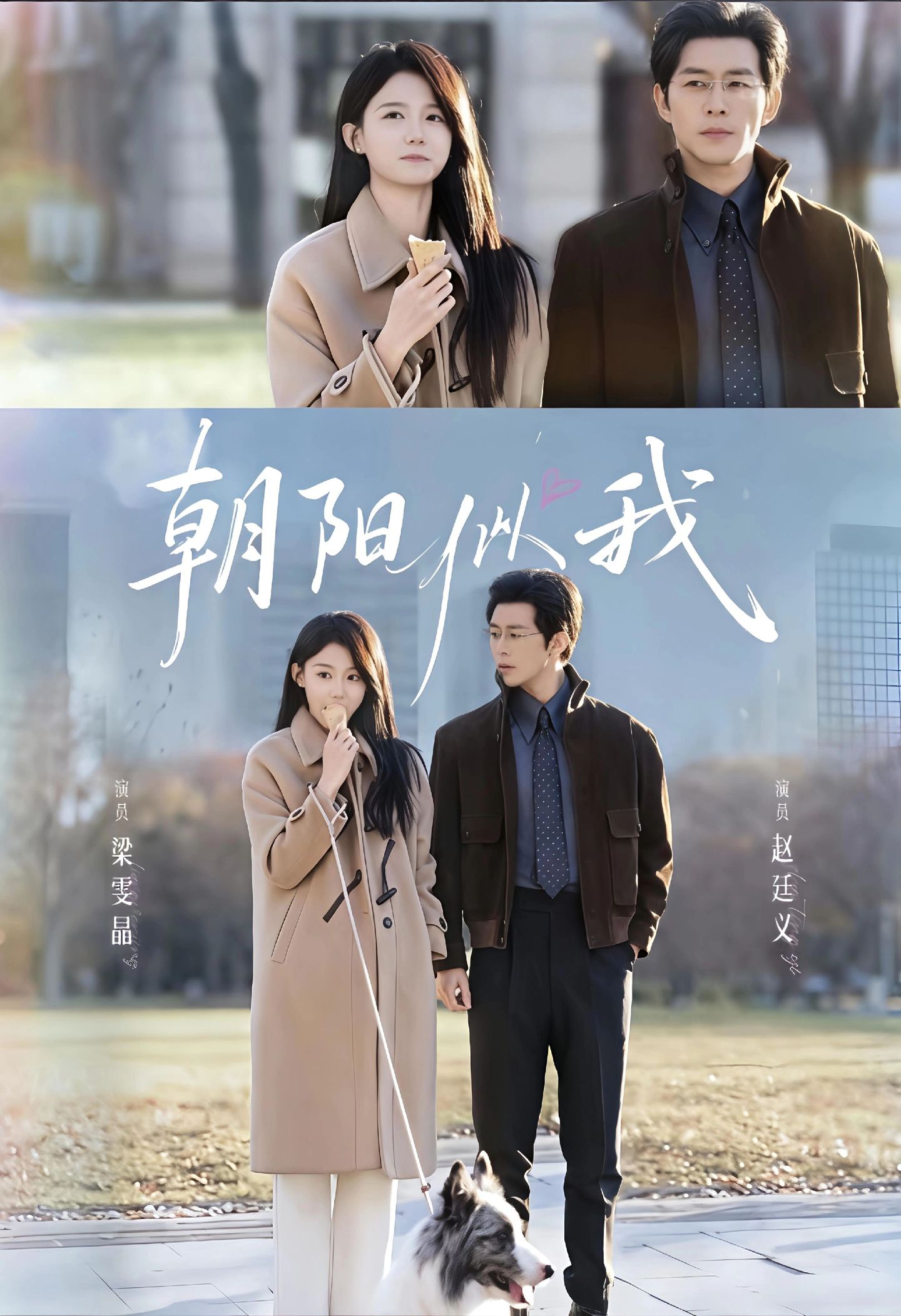 朝阳似我封面图